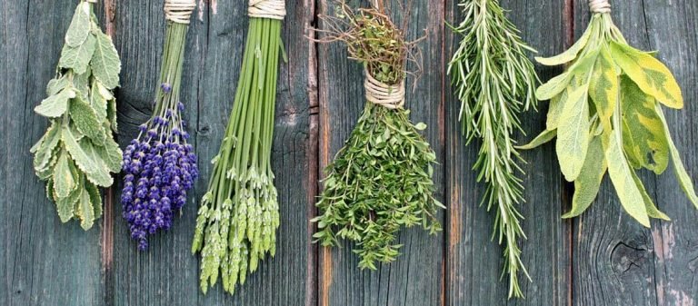 aromatiche