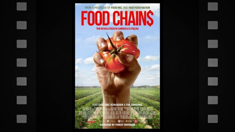 Food Chains - Featured