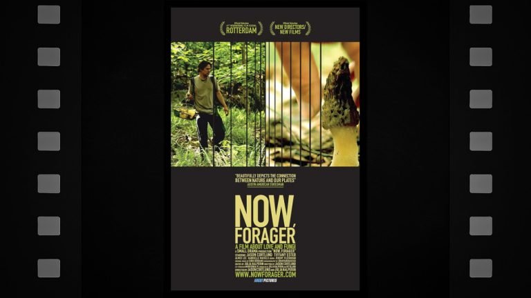 Now, Forager - Featured